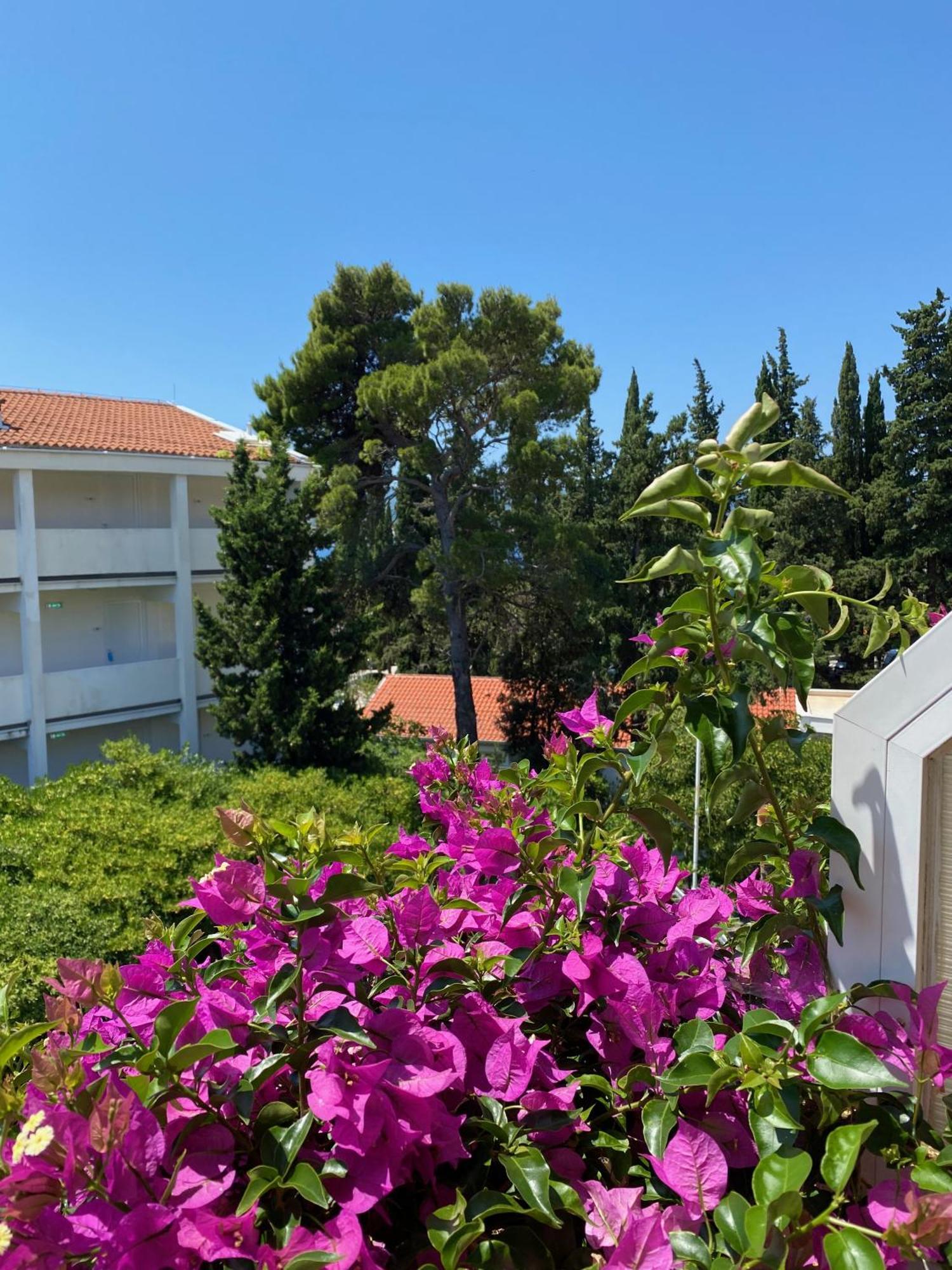 Apartmani Dusanka Orebić Extérieur photo