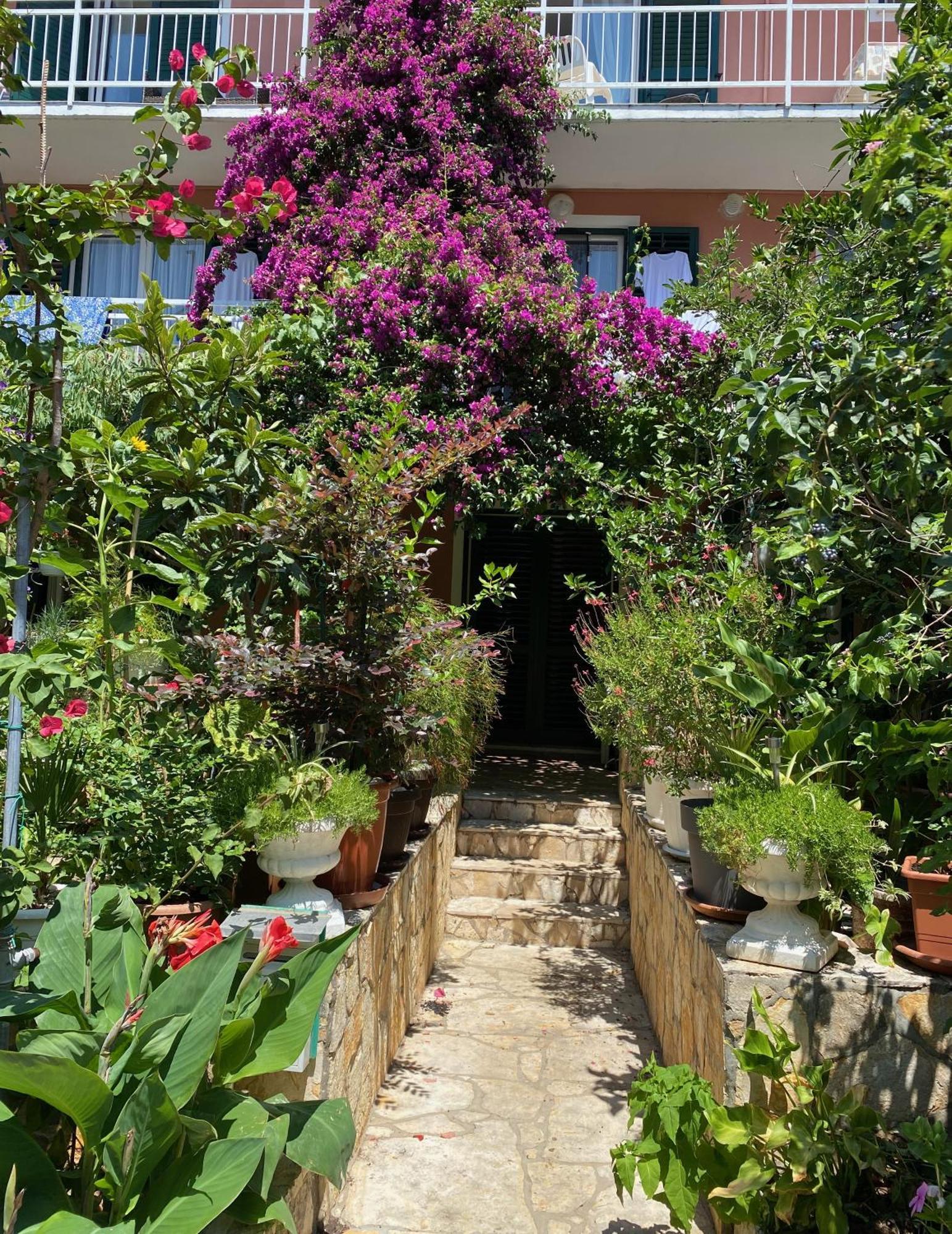 Apartmani Dusanka Orebić Extérieur photo